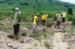 Tư vấn các bước xử lý vi phạm hành vi lấn chiếm đất rừng ?