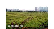 Việt kiều có được đứng tên quyền sử dụng đất hay không?