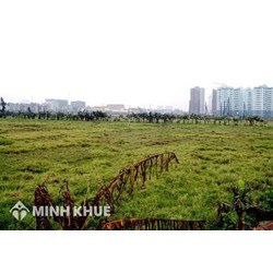 Việt kiều có được đứng tên quyền sử dụng đất hay không?
