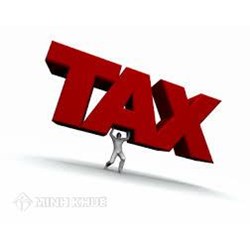 Doanh nghiệp mới thành lập được miễn thuế thu nhập doanh nghiệp hay không ?