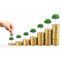 Doanh nghiệp cần lưu ý gì khi kê khai vốn điều lệ trong hồ sơ thành lập mới