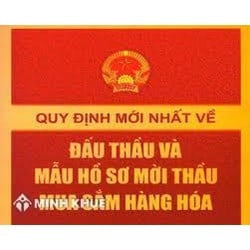 Hình thức đấu thầu hạn chế có thể bỏ qua các bước sơ thuyển, thông báo mời thầu, hồ sơ mời thầu mà chỉ gửi thư mời thầu không?