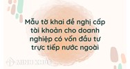 Mẫu tờ khai đề nghị cấp tài khoản cho doanh nghiệp có vốn đầu tư trực tiếp nước ngoài