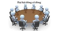 Công ty cổ phần không tổ chức Đại hội đồng cổ đông thường niên đúng thời hạn thì bị xử phạt thế nào?