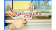 Cấp mã số thuế thu nhập cá nhân (TNCN) bị báo đã được cấp cho người khác thì phải xử lý như thế nào ?
