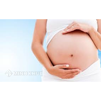 Người sử dụng lao động có được chấm dứt hợp đồng với lao động nữ mang thai hay không?