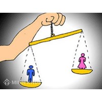 Tư vấn về vấn đề tranh chấp đất đai và quyền thừa kế ?