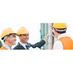 Phạt bao nhiêu khi không thẩm định kế hoạch lựa chọn nhà thầu trước khi phê duyệt