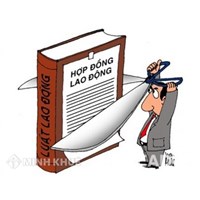 Công ty có được chấm dứt hợp đồng với lao động nữ đang mang thai không?