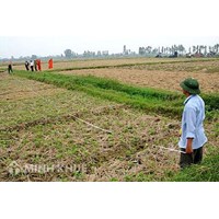 Đòi lại đất đã giao sau khi giải thể hợp tác xã ? Đất đã hiến cho hợp tác xã có lấy lại được không ?
