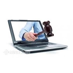 Yêu cầu về hệ thống kỹ thuật phục vụ hoạt động đấu giá trực tuyến là gì ?