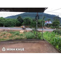 Thừa kế đất của ông nội có cần phải có giấy khai tử không? Cháu đích tôn có được thừa kế?