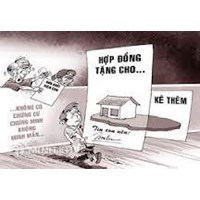 Tặng cho hay thừa kế tài sản riêng thì tối ưu hơn? Con nuôi được nhận thừa kế như con đẻ không ?