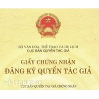 Hướng dẫn thủ tục đăng ký quyền tác giả với logo, nhãn hiệu?
