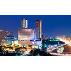 Điều kiện để người Việt Nam định cư ở nước ngoài mua đất tại Việt Nam?
