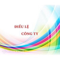 Công ty cổ phần đại chúng có bắt buộc áp dụng Điều lệ mẫu không?