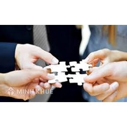 Hướng dẫn điền phụ lục giao dịch liên kết Mẫu số 01