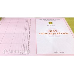 Mẫu tờ khai đăng ký lại kết hôn, đăng ký lại việc khai sinh mới