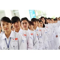 Rút hồ sơ không đi xuất khẩu lao động nữa có phải bồi thường?
