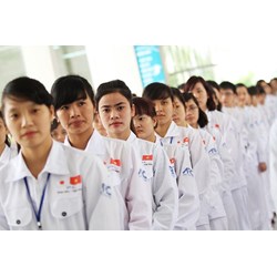 Rút hồ sơ không đi xuất khẩu lao động nữa có phải bồi thường?