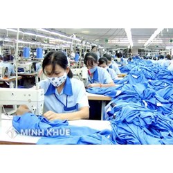 Phân tích nguyên tắc bảo vệ người lao động trong pháp luật lao động Việt Nam