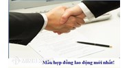 Mẫu hợp đồng ủy quyền chung, thông dụng, đơn giản nhất