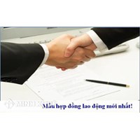 Mẫu hợp đồng ủy quyền chung, thông dụng, đơn giản nhất