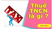 Hợp đồng học việc có phải quyết toán thuế không ?