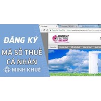 Thay đổi thông tin mã số thuế cá nhân khi đổi số thẻ căn cước?