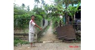 Trường hợp nào đương nhiên được hưởng quyền sử dụng lối đi qua ?