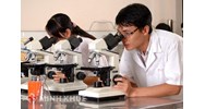 Điều kiện thành lập cơ sở giáo dục nước ngoài mới nhất theo quy định của pháp luật Việt Nam