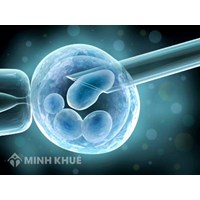 Nguyên tắc của việc sinh con theo kỹ thuật hỗ trợ sinh sản