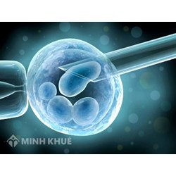 Nguyên tắc của việc sinh con theo kỹ thuật hỗ trợ sinh sản