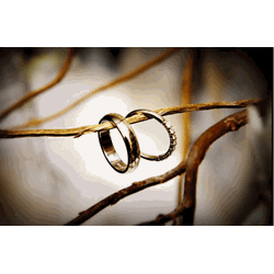 Vợ có quyền yêu cầu chồng cấp dưỡng cho con trong thời kỳ hôn nhân?