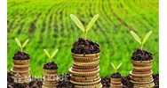 Tranh chấp môi trường và những dấu hiệu đặc trưng