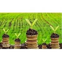Tranh chấp môi trường và những dấu hiệu đặc trưng