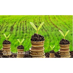 Tranh chấp môi trường và những dấu hiệu đặc trưng