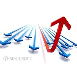 Những đặc điểm của chỉ dẫn thương mại gây nhầm lẫn theo quy định của pháp luật