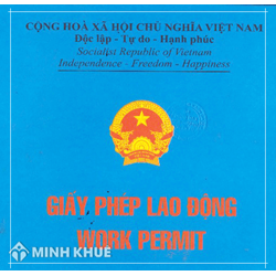 Trường hợp nào phải thu hồi giấy phép lao động ?
