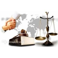 Hành vi mang thai hộ vì mục đích thương mại có bị xử lý hình sự hay không ?