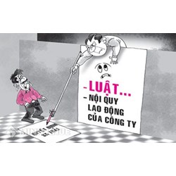 Đánh nhau trong giờ làm việc thì có bị công ty đuổi việc không ?