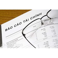 Mẫu thuyết minh báo cáo tài chính theo TT 200, 133 File Word
