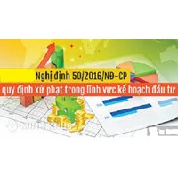 Xử phạt vi phạm hành chính khi công ty có vốn nước ngoài không nộp báo cáo hoạt động đầu tư