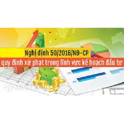 Xử phạt vi phạm hành chính khi công ty có vốn nước ngoài không nộp báo cáo hoạt động đầu tư