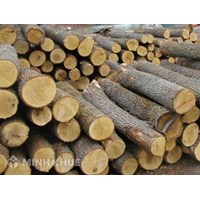 Thuế GTGT của mặt hàng gỗ và Khấu trừ thuế GTGT đối với sản phẩm gỗ tròn