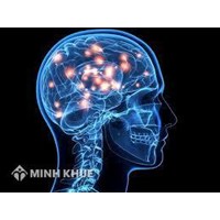 Vai trò của hoạt động nhận thức trong các giai đoạn tố tụng