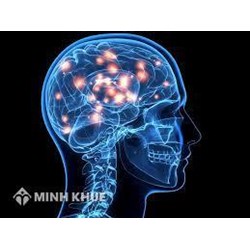 Vai trò của hoạt động nhận thức trong các giai đoạn tố tụng
