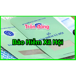 Kiện công ty khi không đóng bảo hiểm xã hội cho nhân viên có nên hay không?