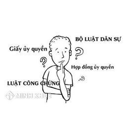 Vai trò của Luật sư tranh tụng trước khi tham gia phiên tòa