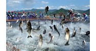 Nhận chuyển nhượng diện tích đất nuôi trồng của hàng xóm có trái pháp luật không?